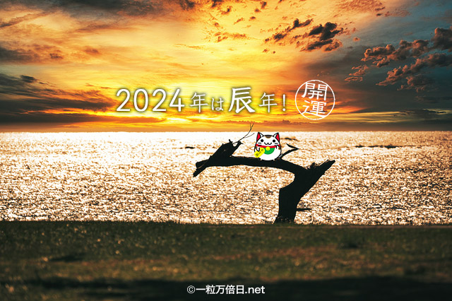 草陰でくつろぐうさぎ - 2023年が良い年になりますように 開運祈願 -