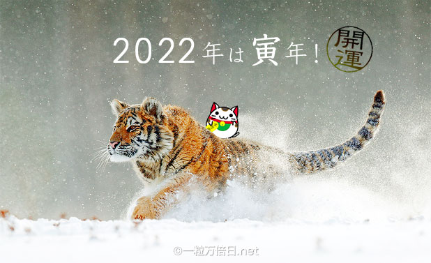 雪の中を勇み進む虎 - 2022年が良い年になりますように 開運祈願 -